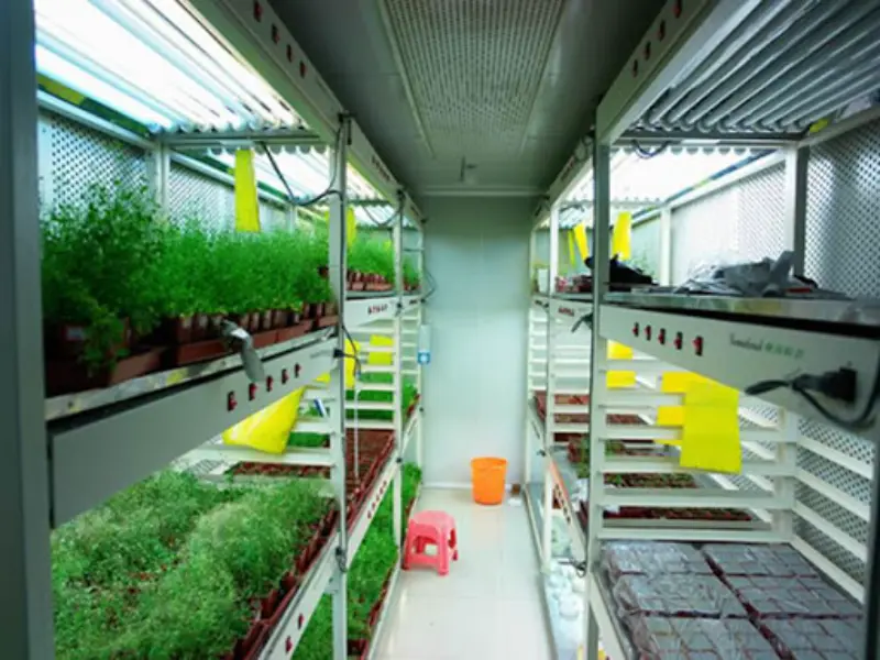 Cold Storage Plant