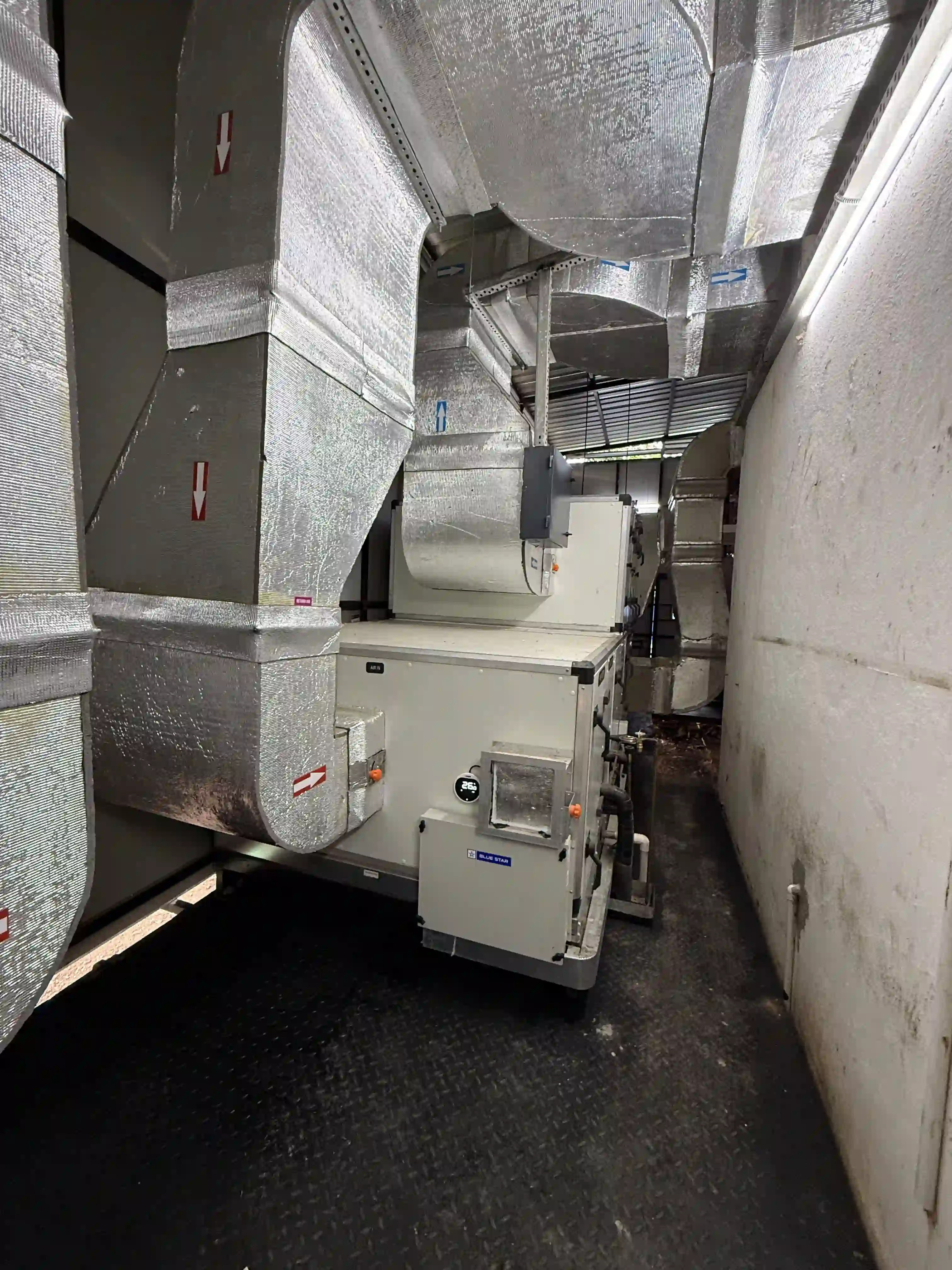 Static Seed Dryer Unit & Thermal Control Installation