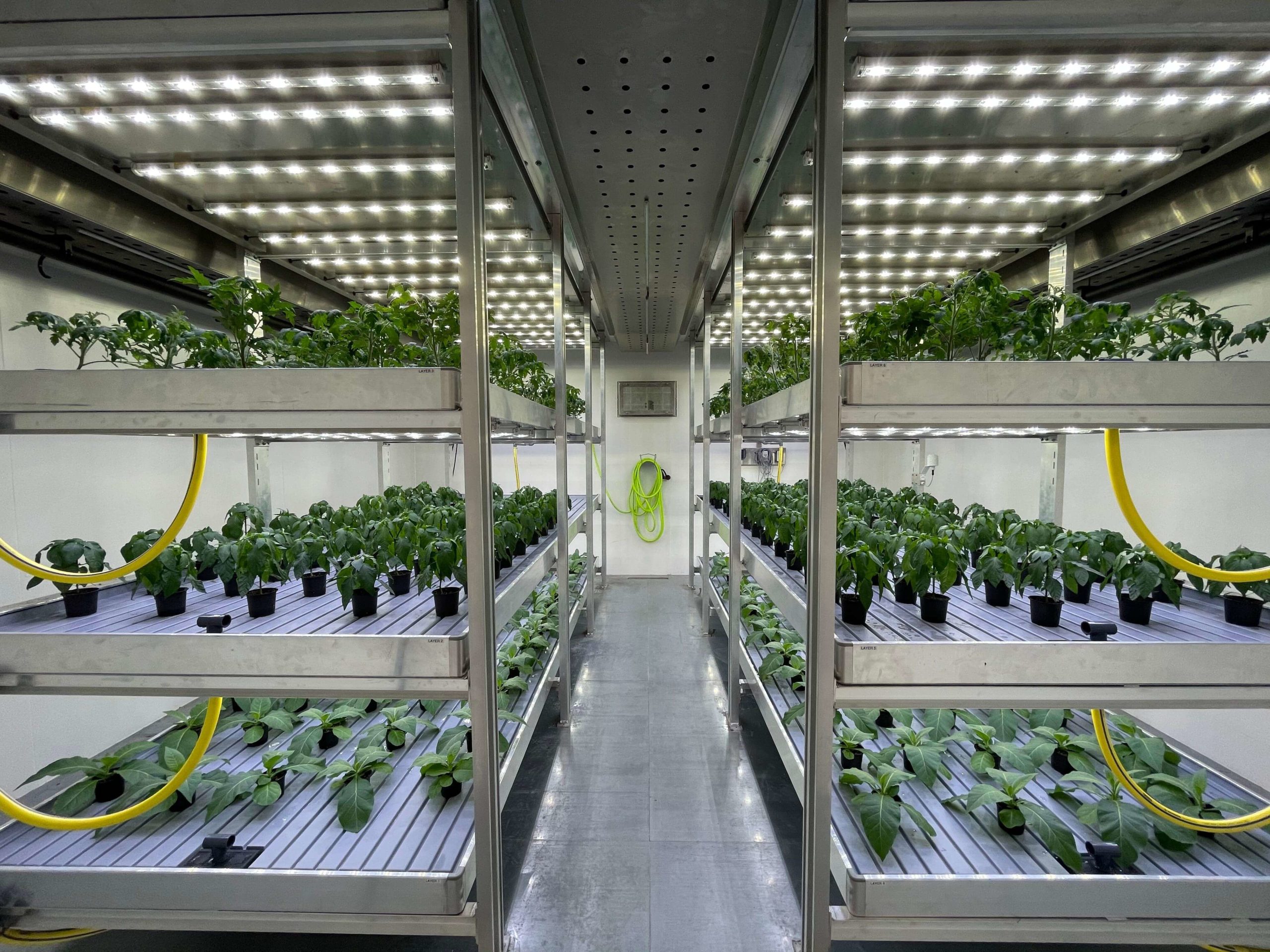 WALK IN PLANT GROWTH CHAMBER